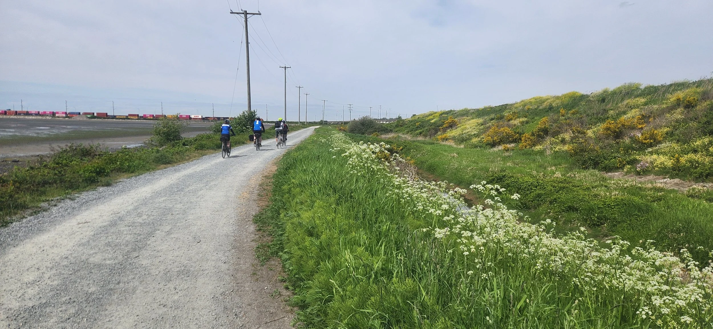 Great Blue Heron Bike Ride, Saturday May 9th 2026