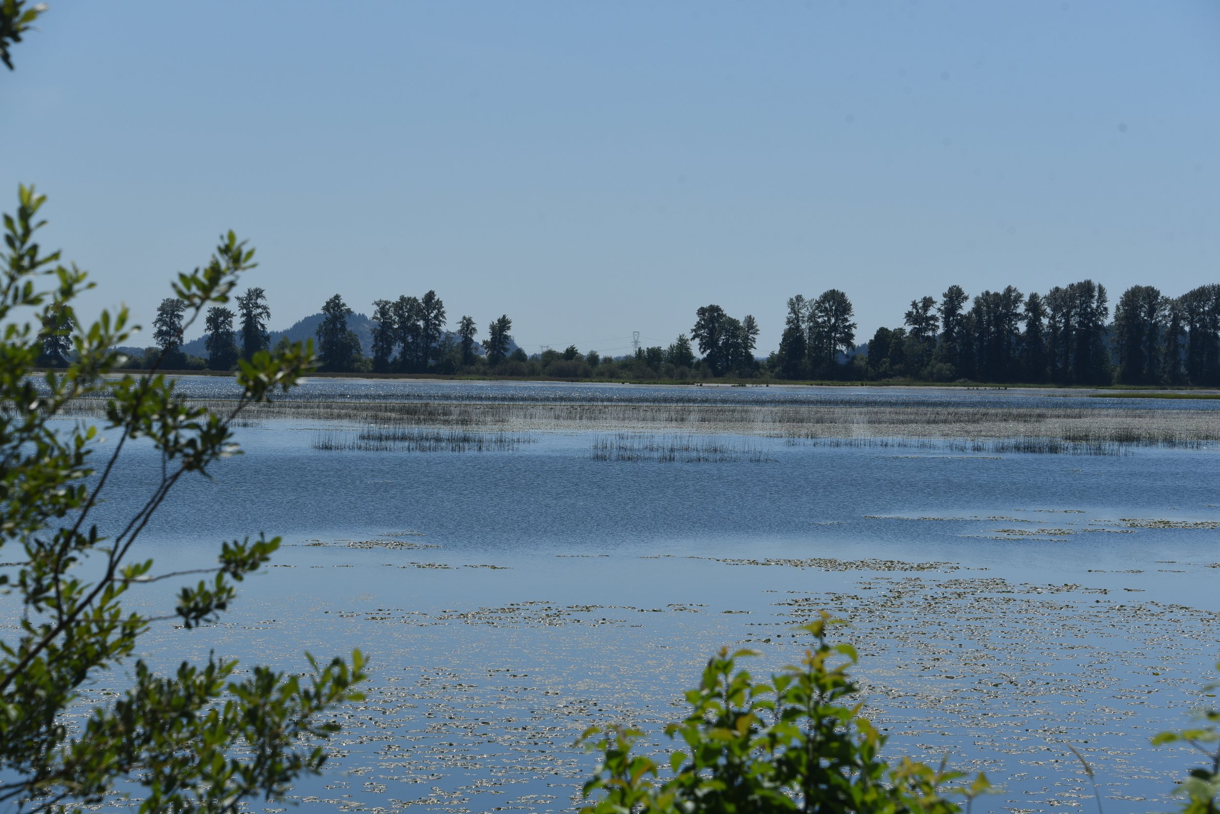Pitt-Addington Marsh Wildlife Management Area Bike Ride June 13th 2026