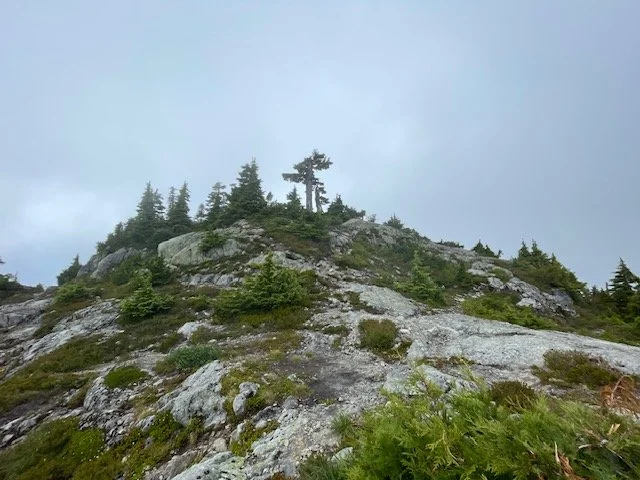 Martina July 12 Mt Seymour Hike Photo 8.jpeg