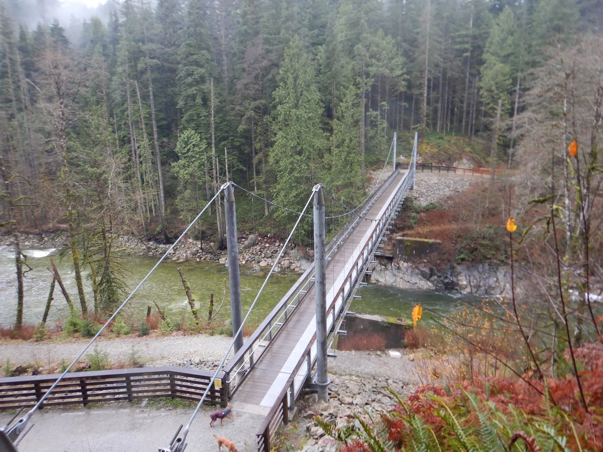 2018 built Twin Bridges Suspension Bridge, December 2021, Lynn Seymour Loop, Photo by Iain