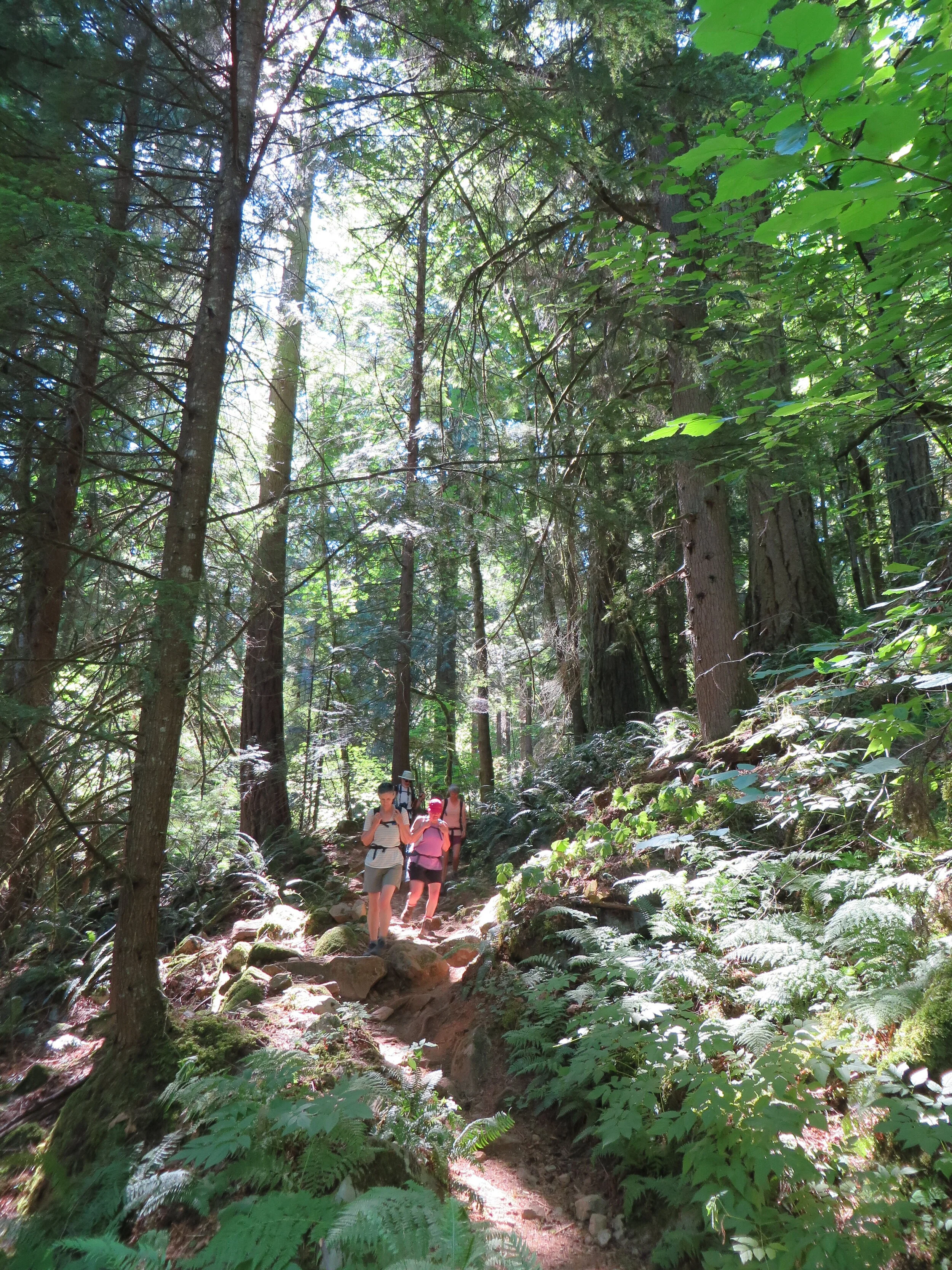 Othello Tunnels, July 24th  2021 