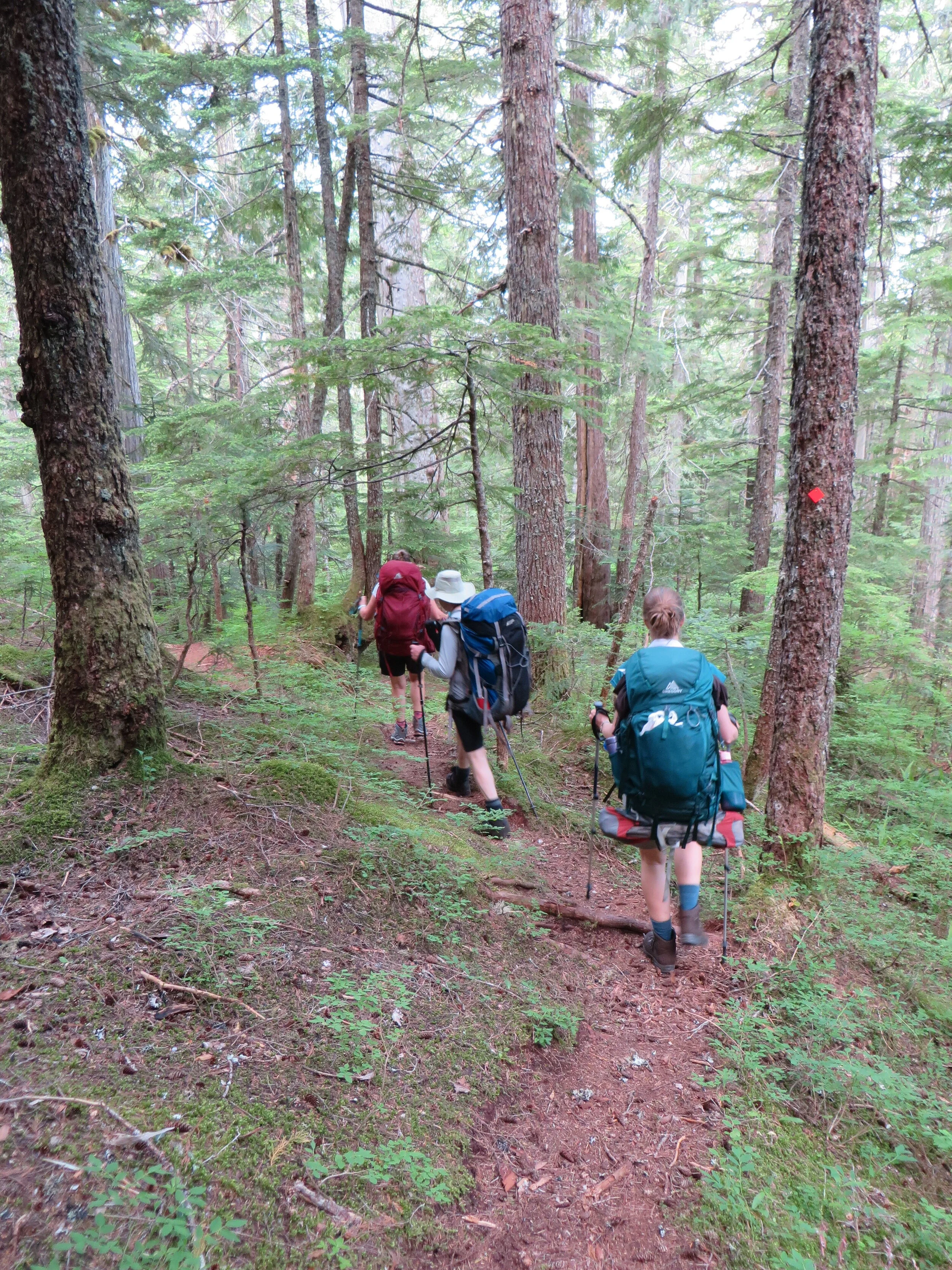 Sunshine Coast Trail, July 2021