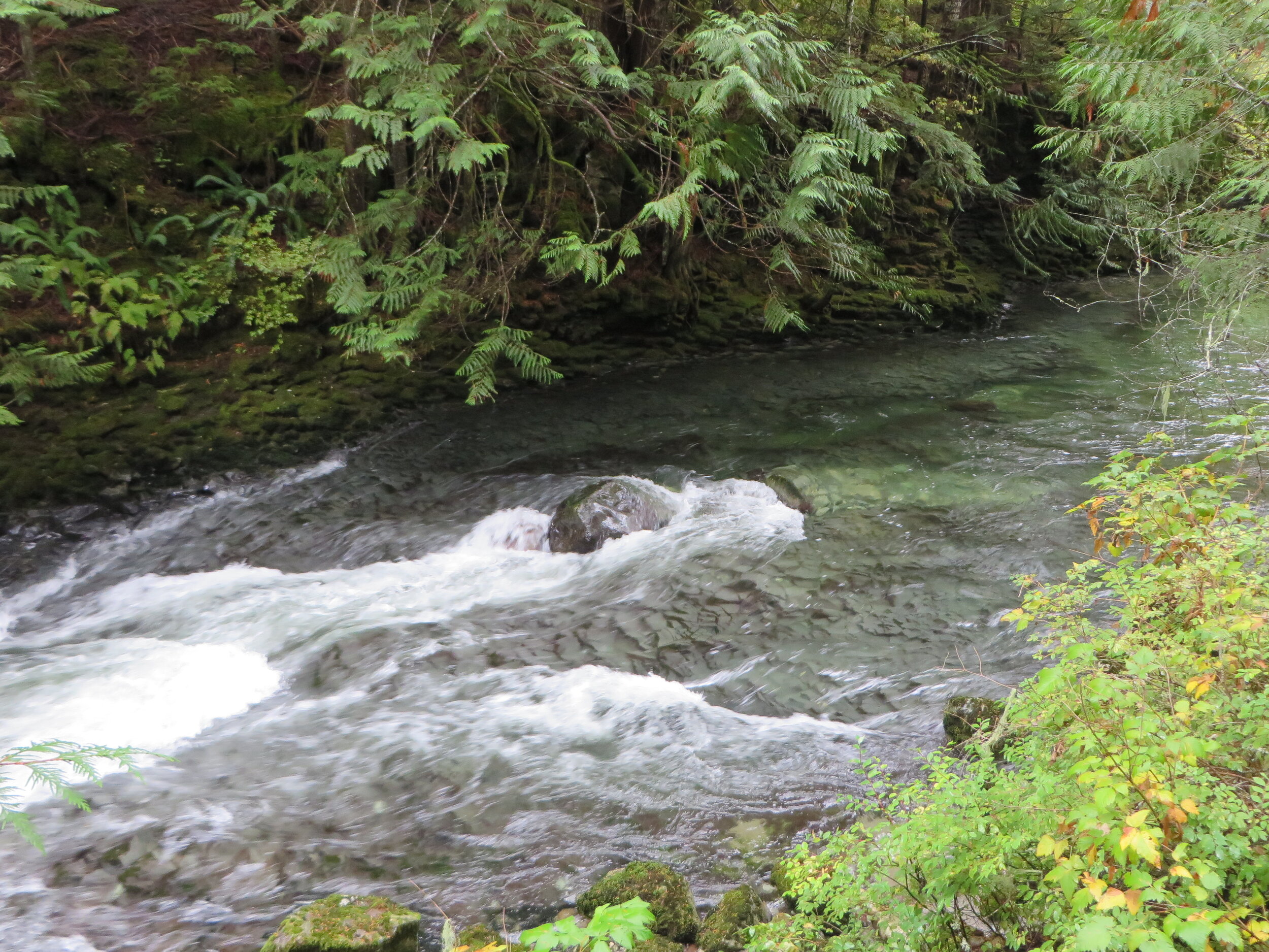 Rapids near the car park at Brandywine by Tamsin