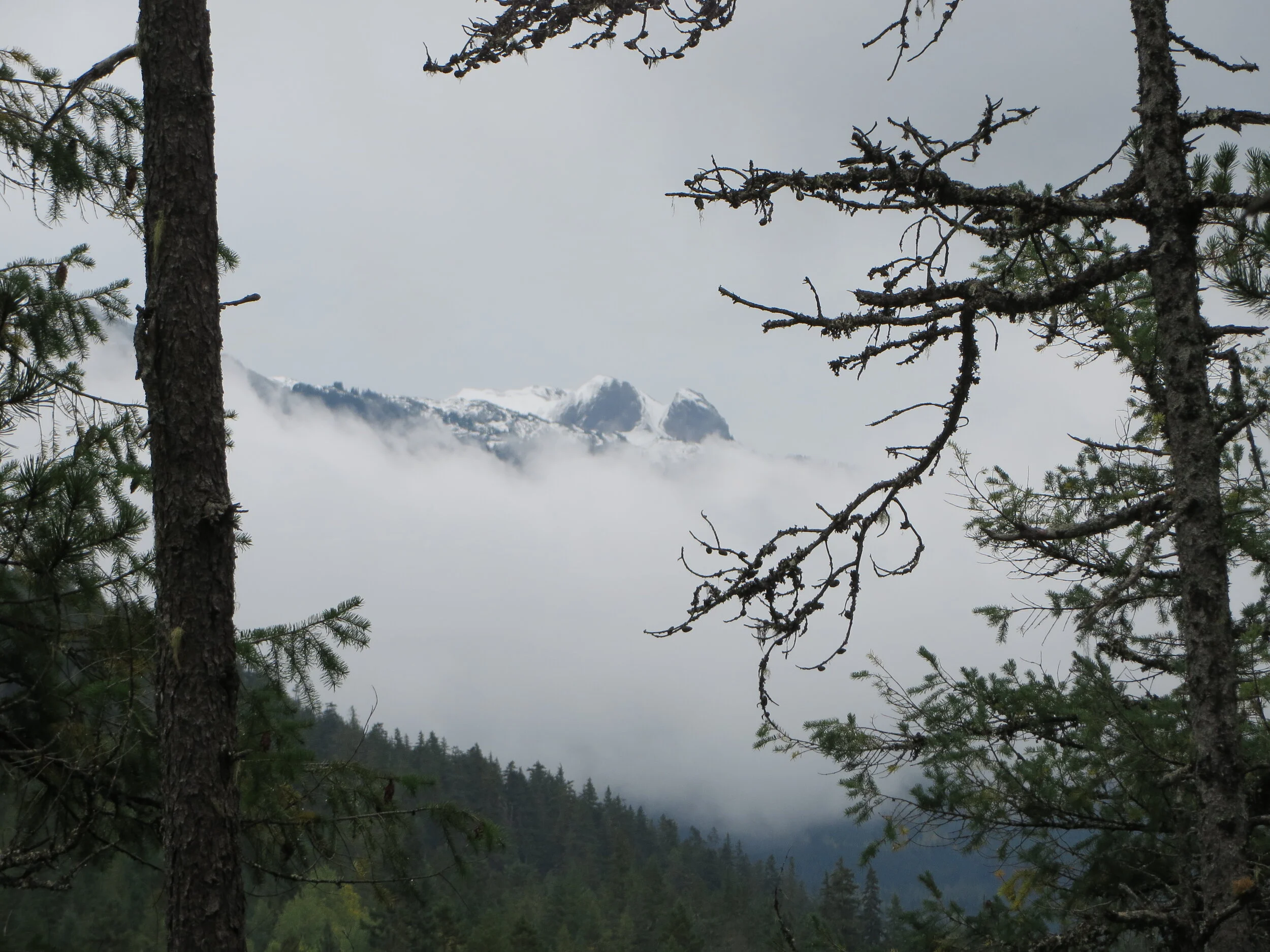 Snow capped peaks, winter is a coming in, photo by Tamsin