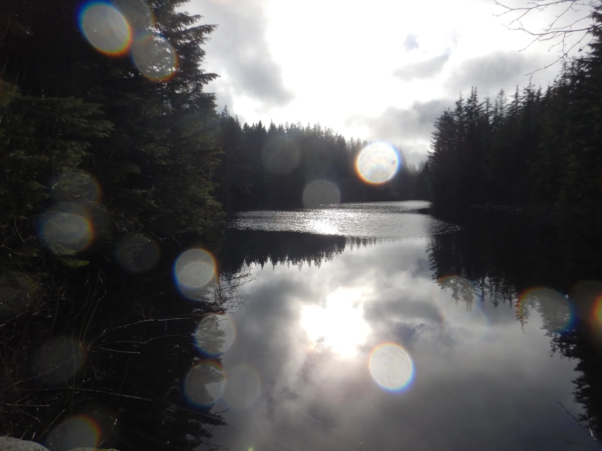 Lake and Light, Lynn Seymour Loop, December 2021, Photo by Iain