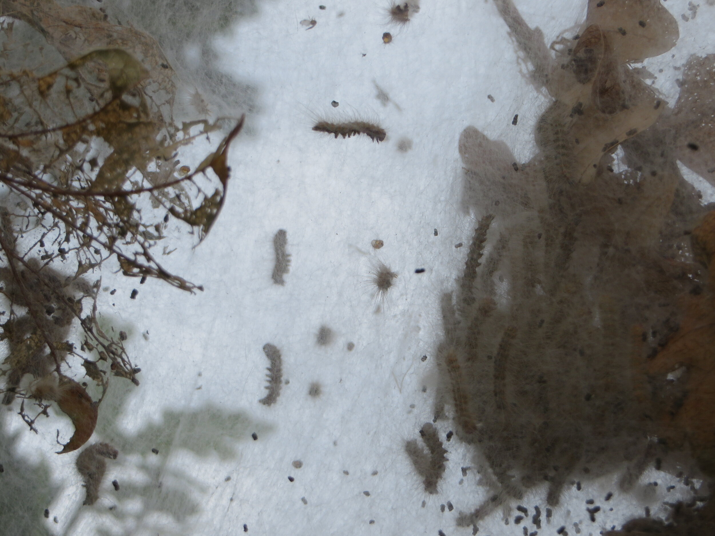 Even more weird Photo by Tamsin