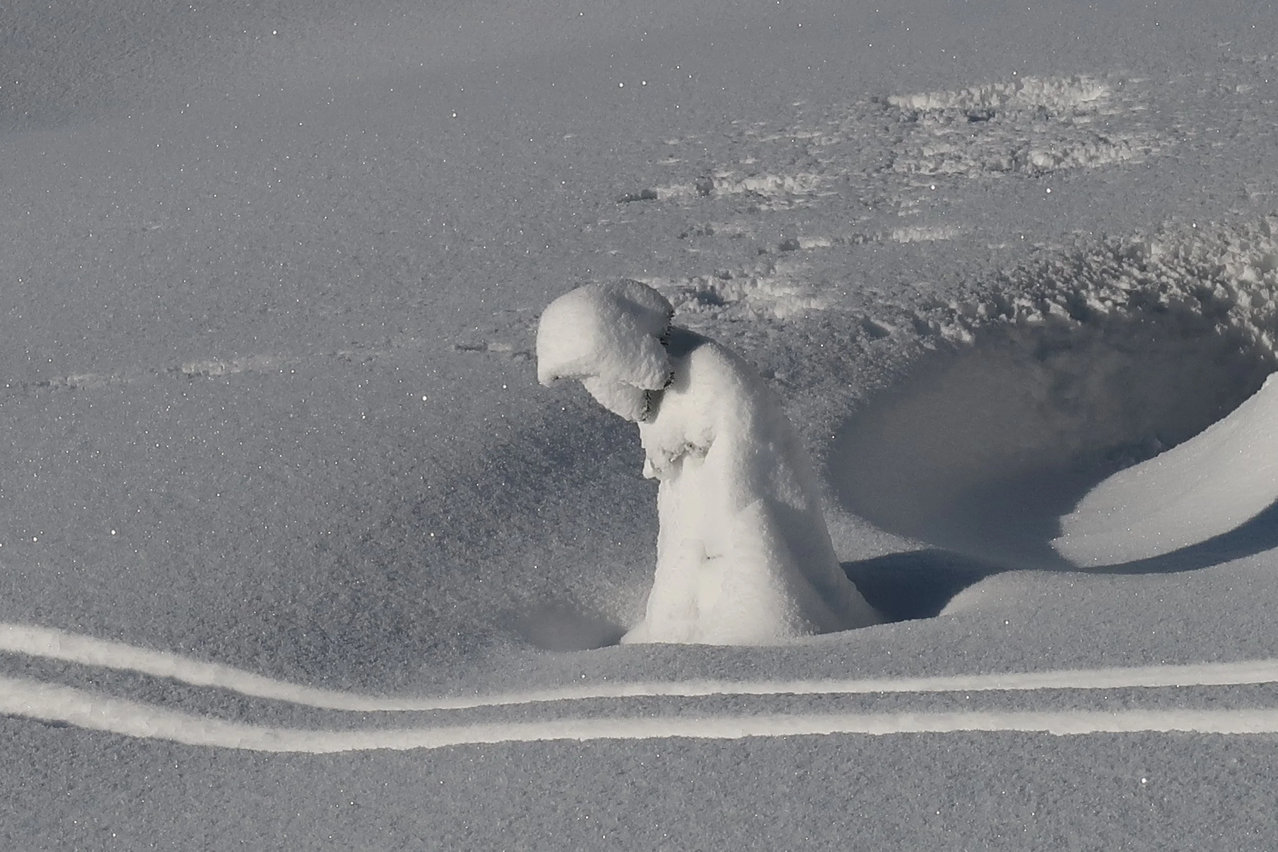 Lady in the snow, by Tamsin