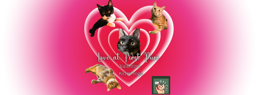Love at First Purr: Valentine Kitten Yin Yoga