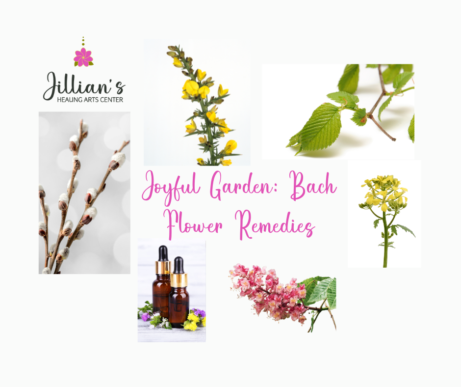 Joyful Garden: Balance Emotions with Somatic Practice and Bach Flower Remedies 