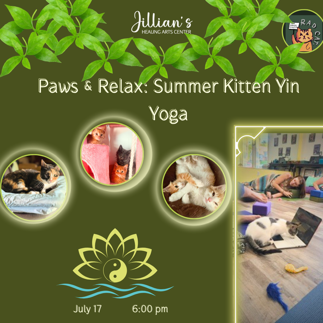 Paws &amp; Relax: Summer Kitten Yin Yoga