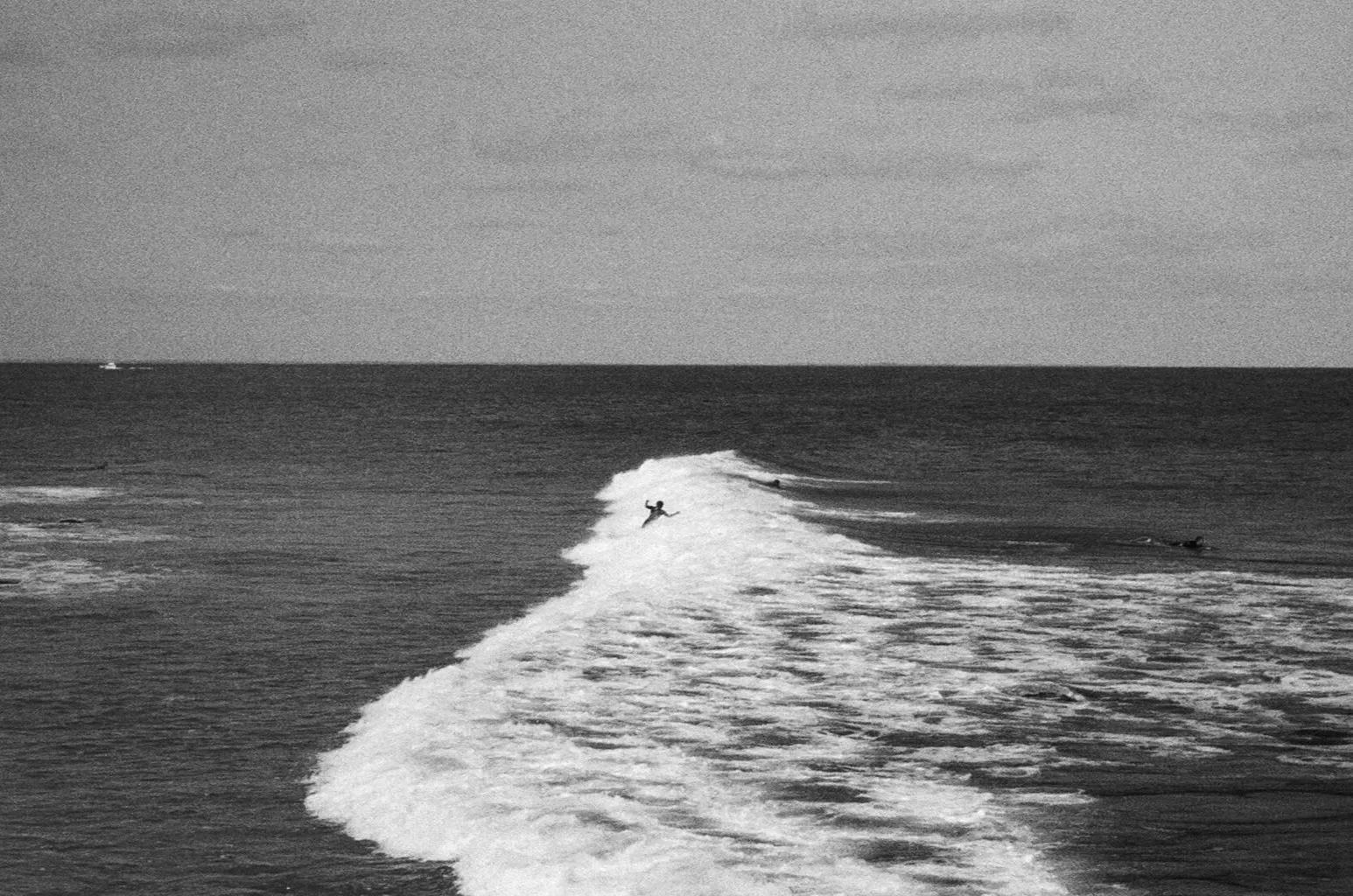 Fiction, "The Summer Is Mad"