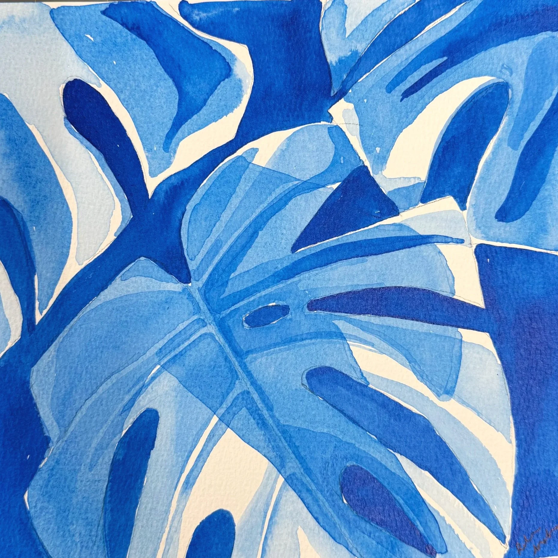 Blue Monstera VI