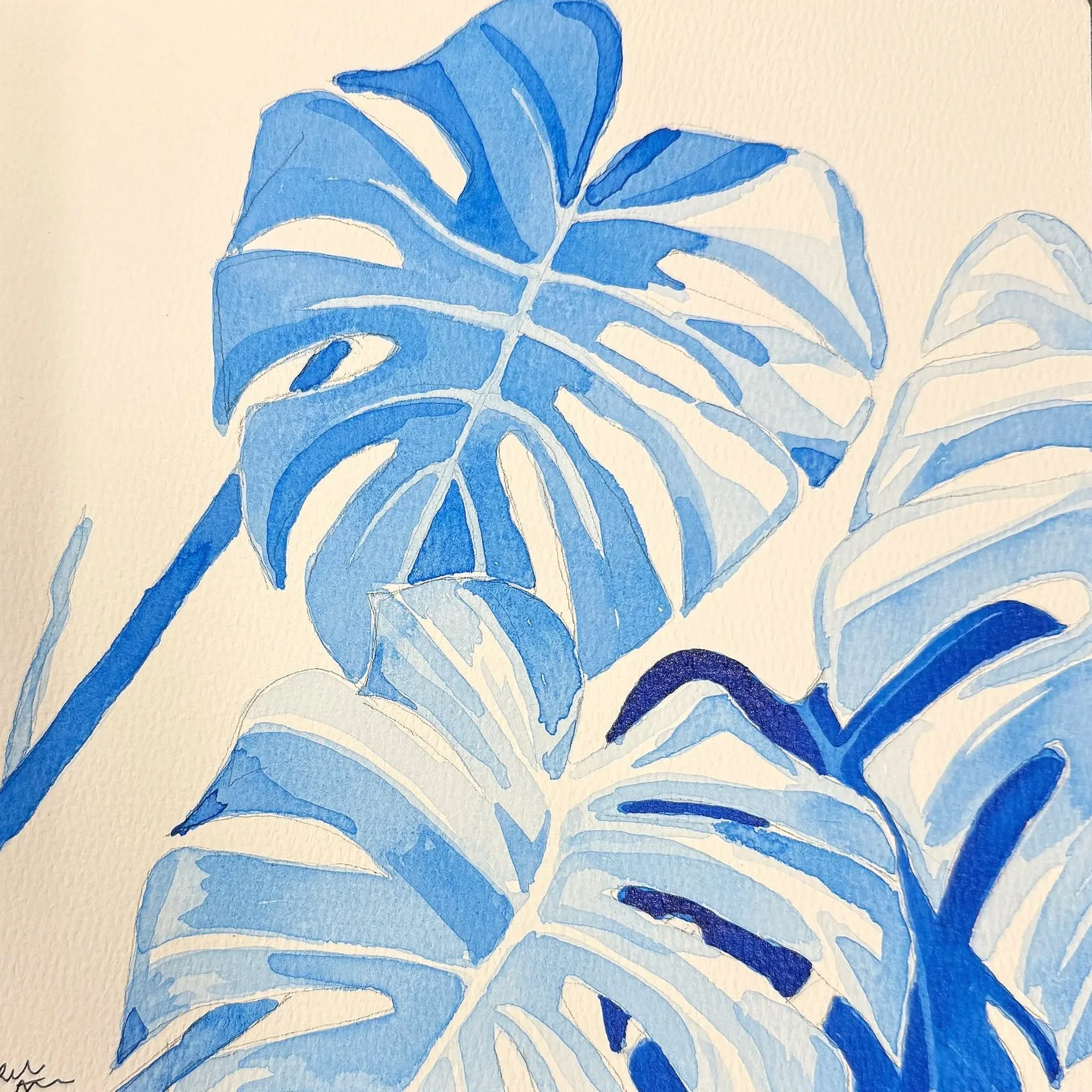 Blue Monstera IV