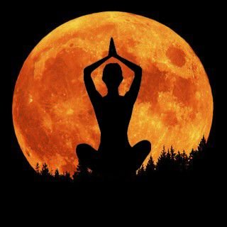 1b5c99d3f25ef7865e124fdc8635981dharvestmoon.jpg