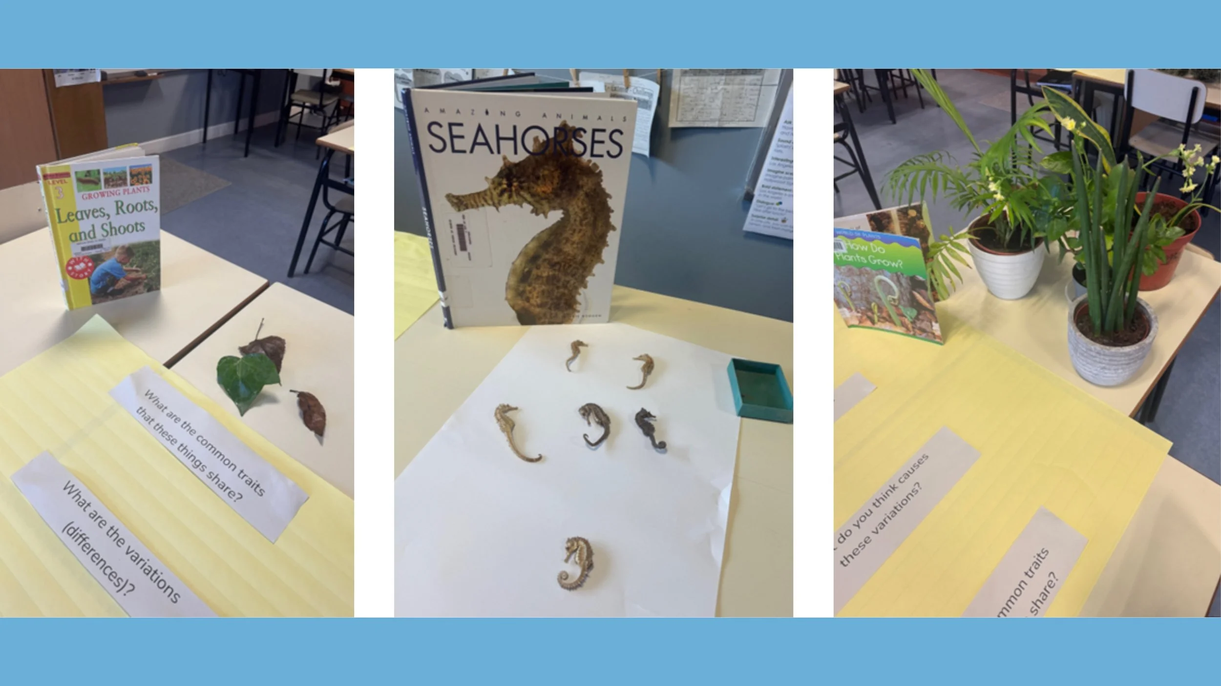 Why Real Objects Matter: Curiosity, Questioning, and Wonder as the Starting Point