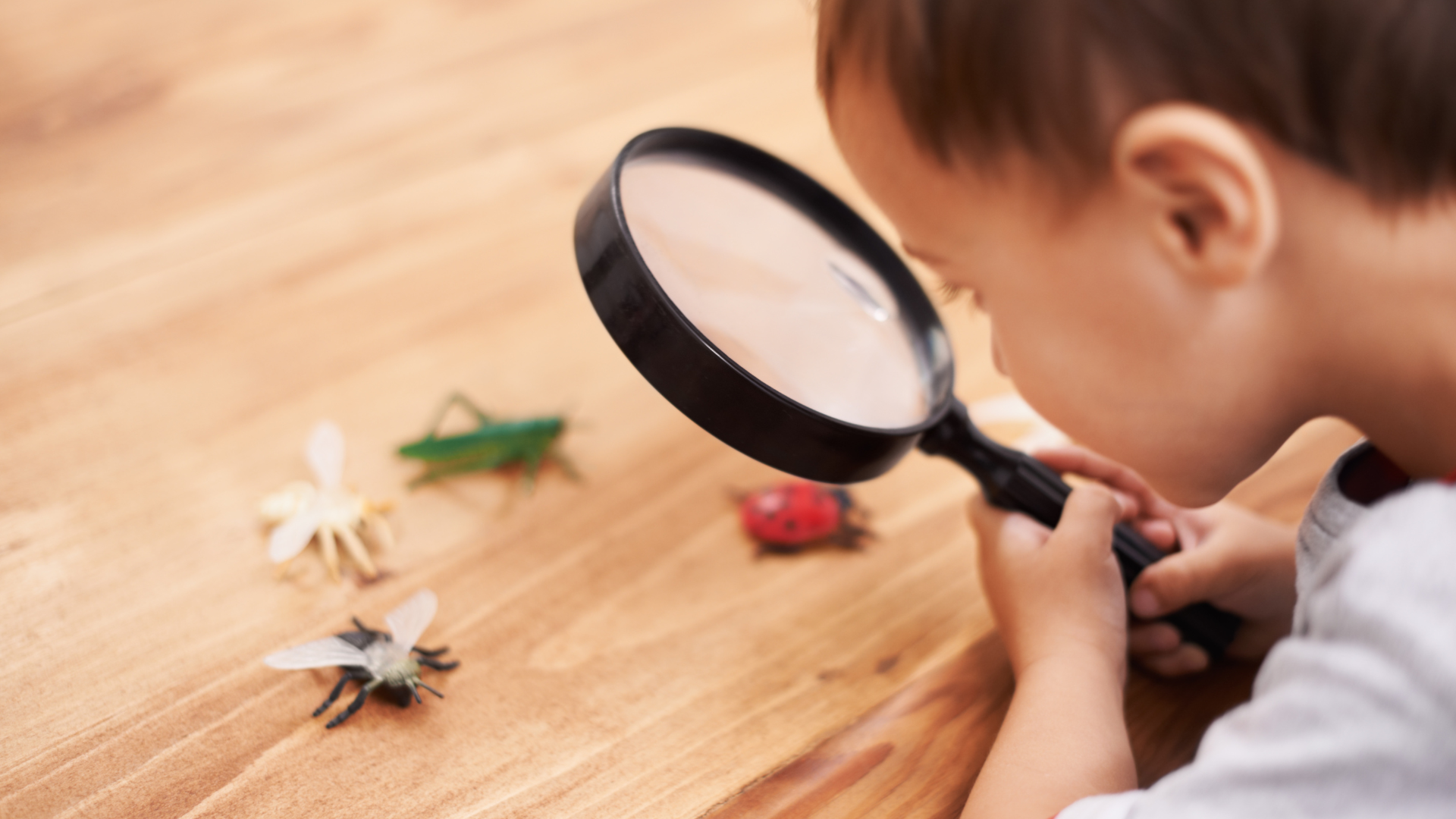 Covering Content to Uncovering Concepts - Tania Lattanzio at Toddle Podcast