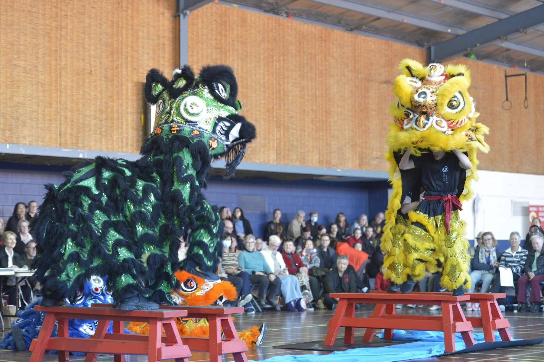 _DSC1501 copy.JPG