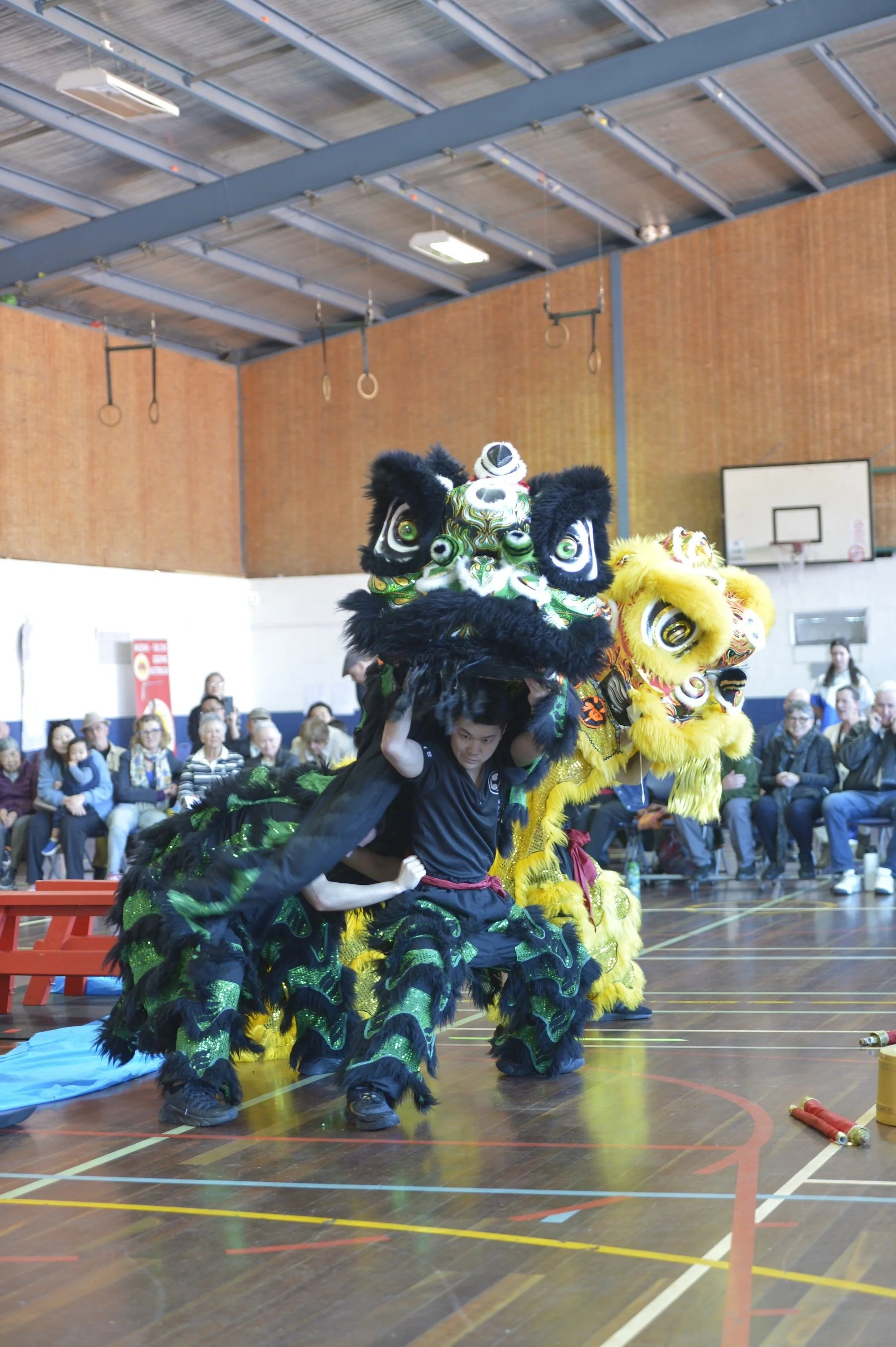 _DSC1512 copy.JPG