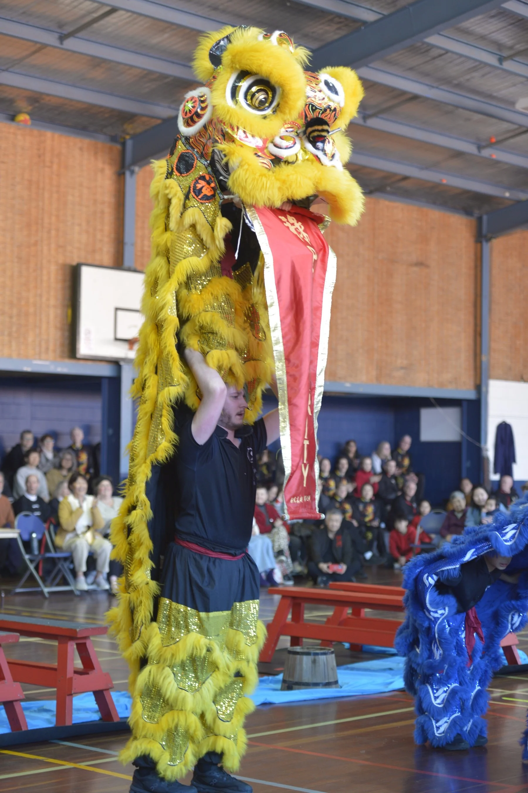 _DSC1534 copy.JPG