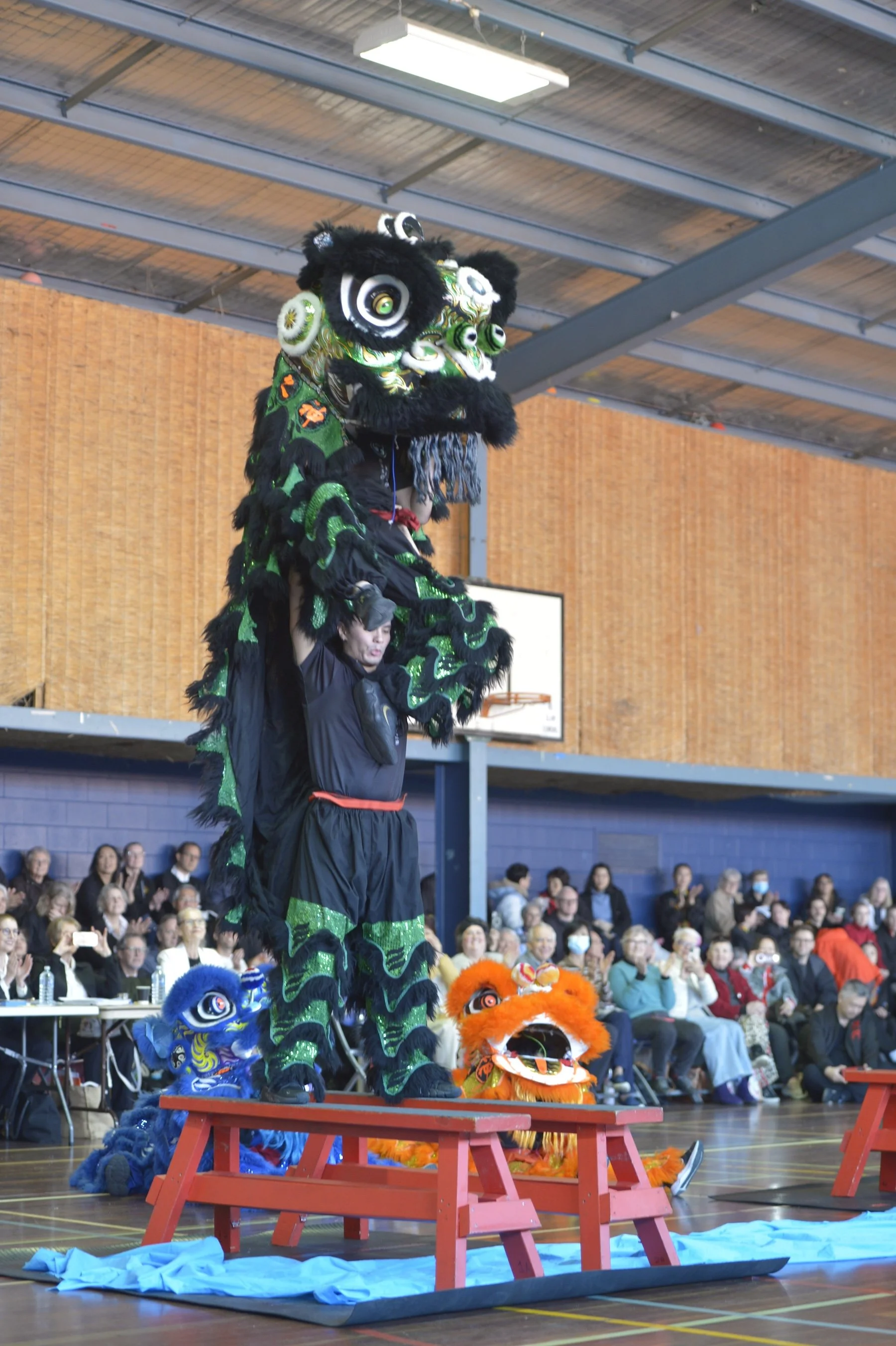 _DSC1492 copy.JPG