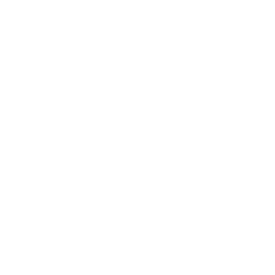 Honor with Flags, American Flags, Fundraisers, &amp; Events