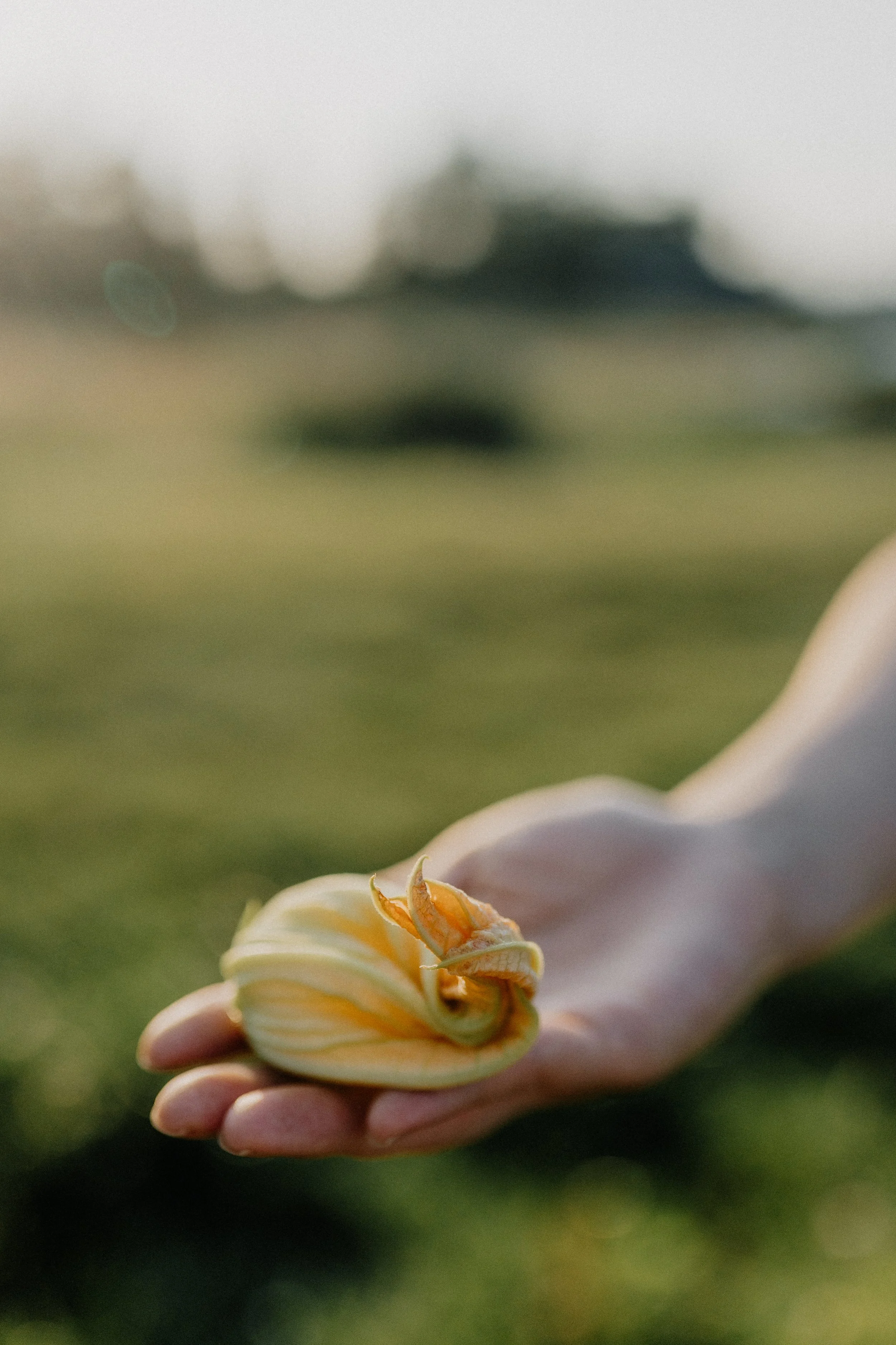 Black Table 2023_07.jpg