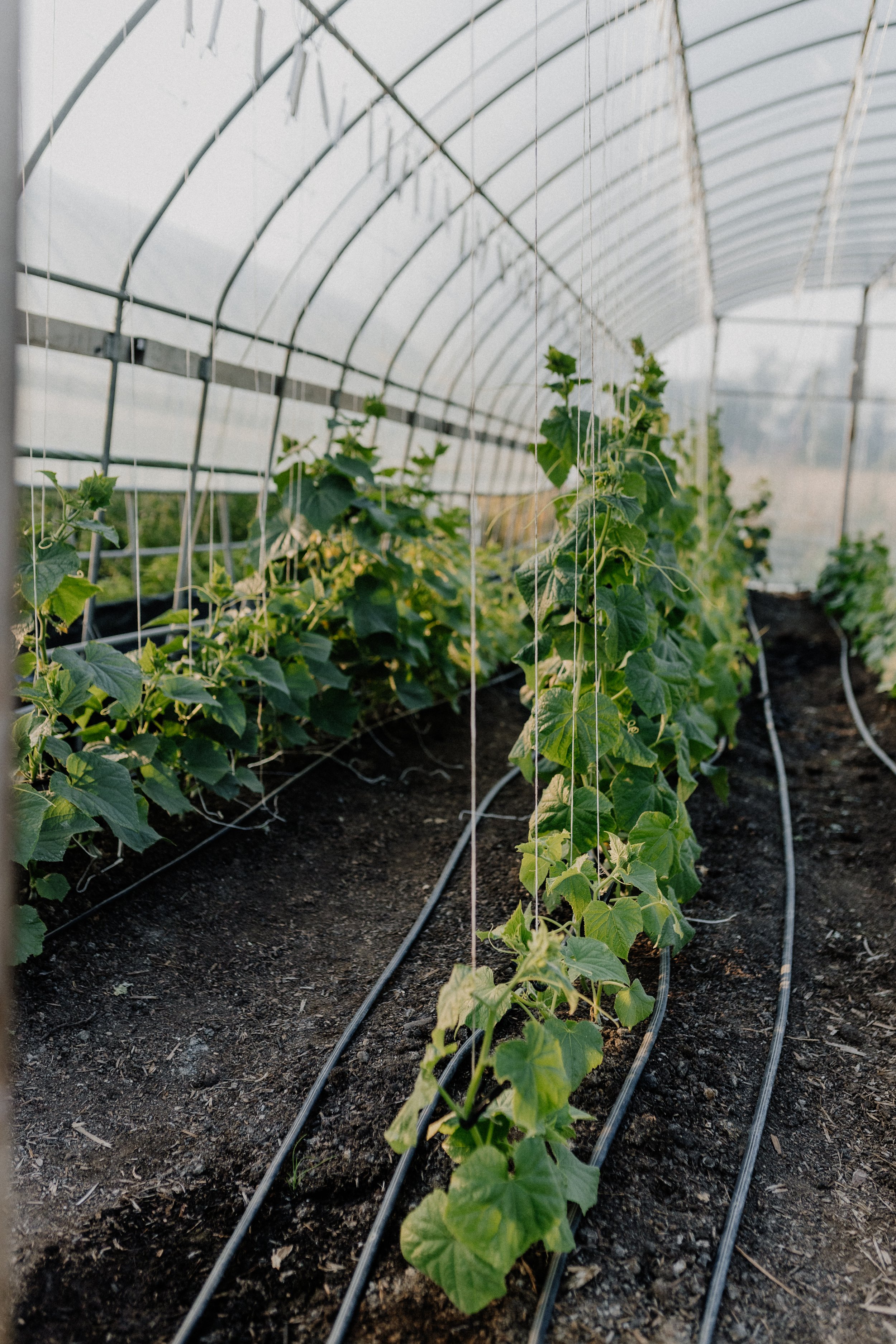 Black Table 2023_04.jpg