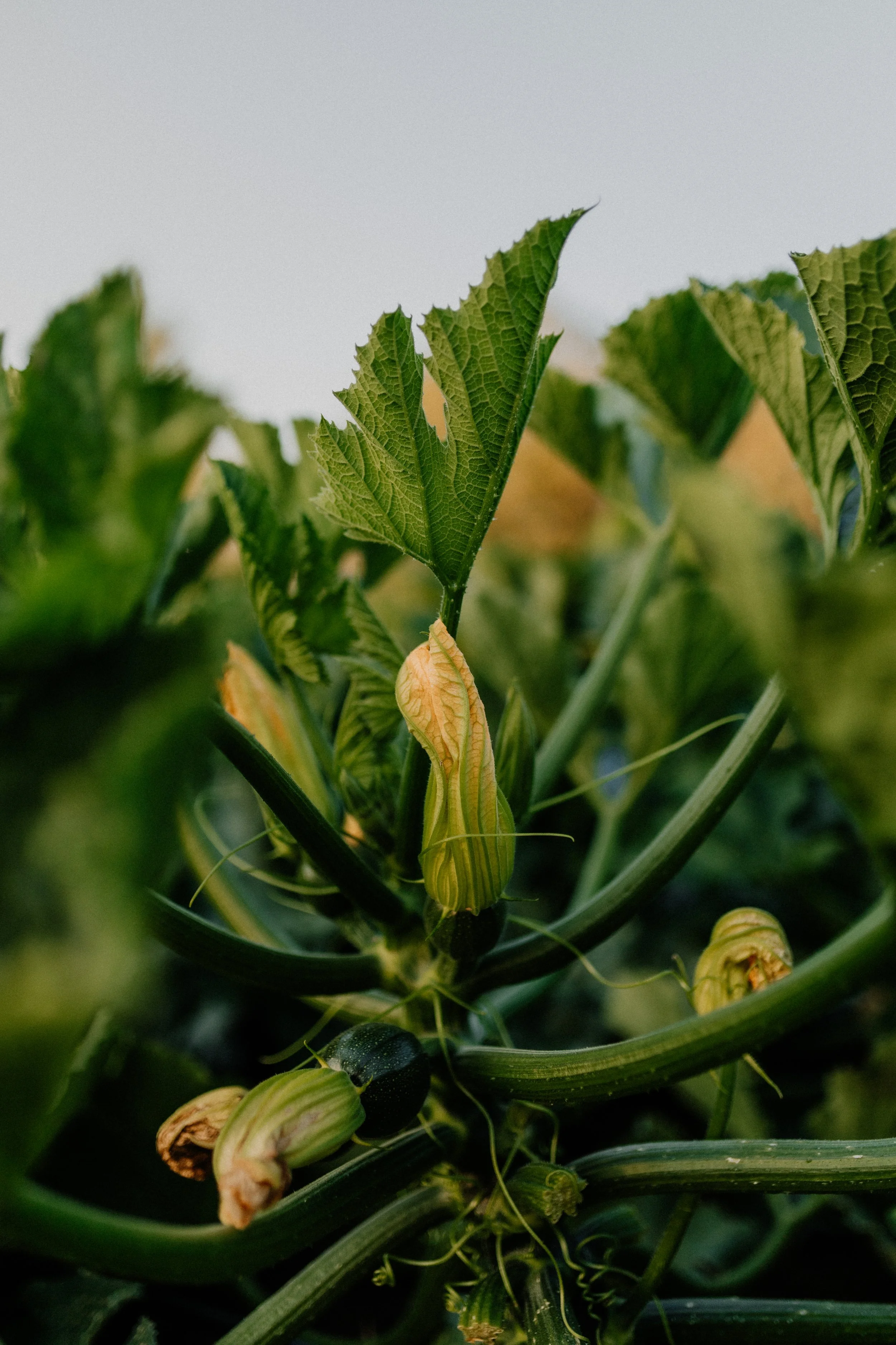 Black Table 2023_30.jpg