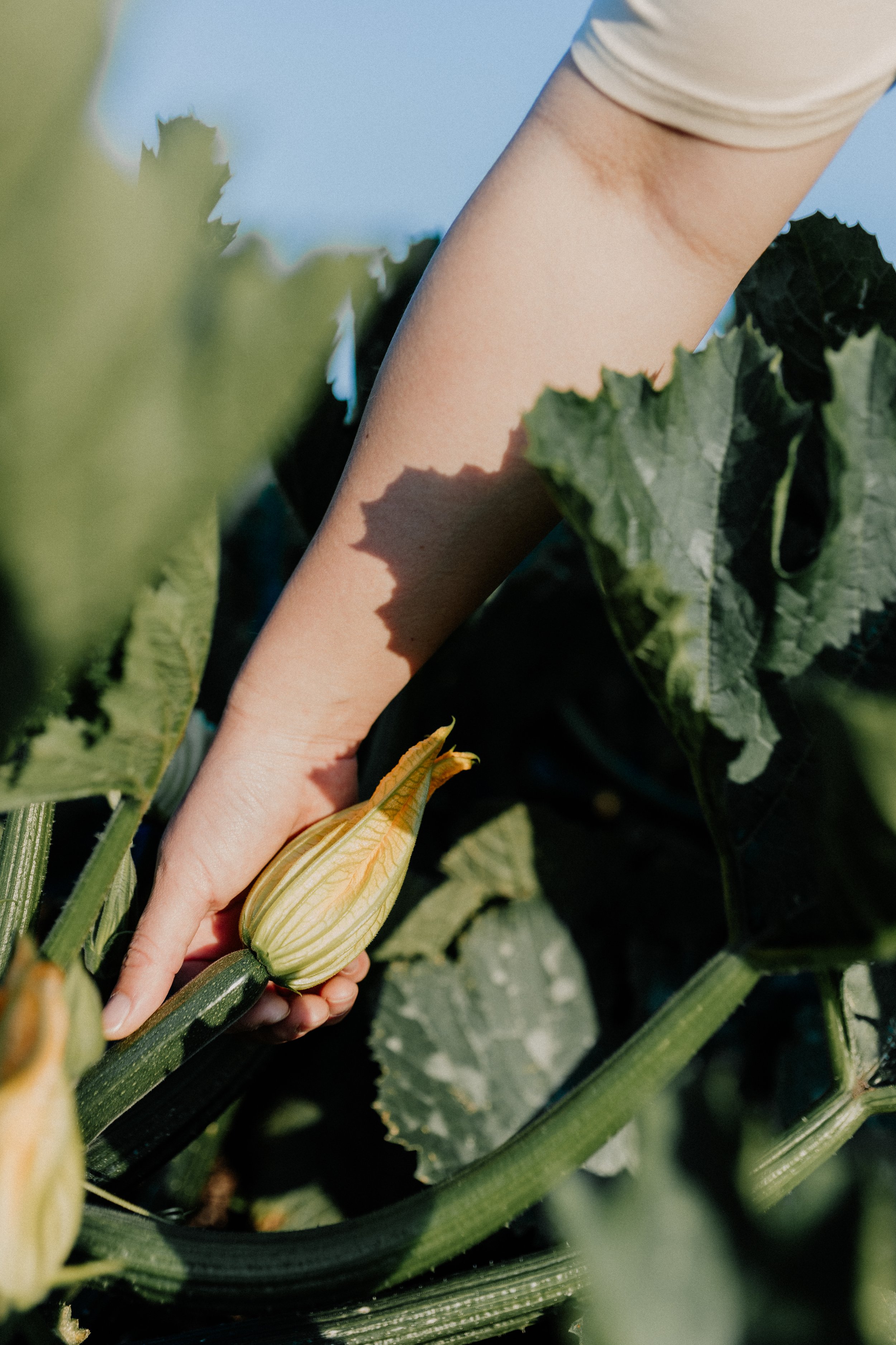 Black Table 2023_06.jpg