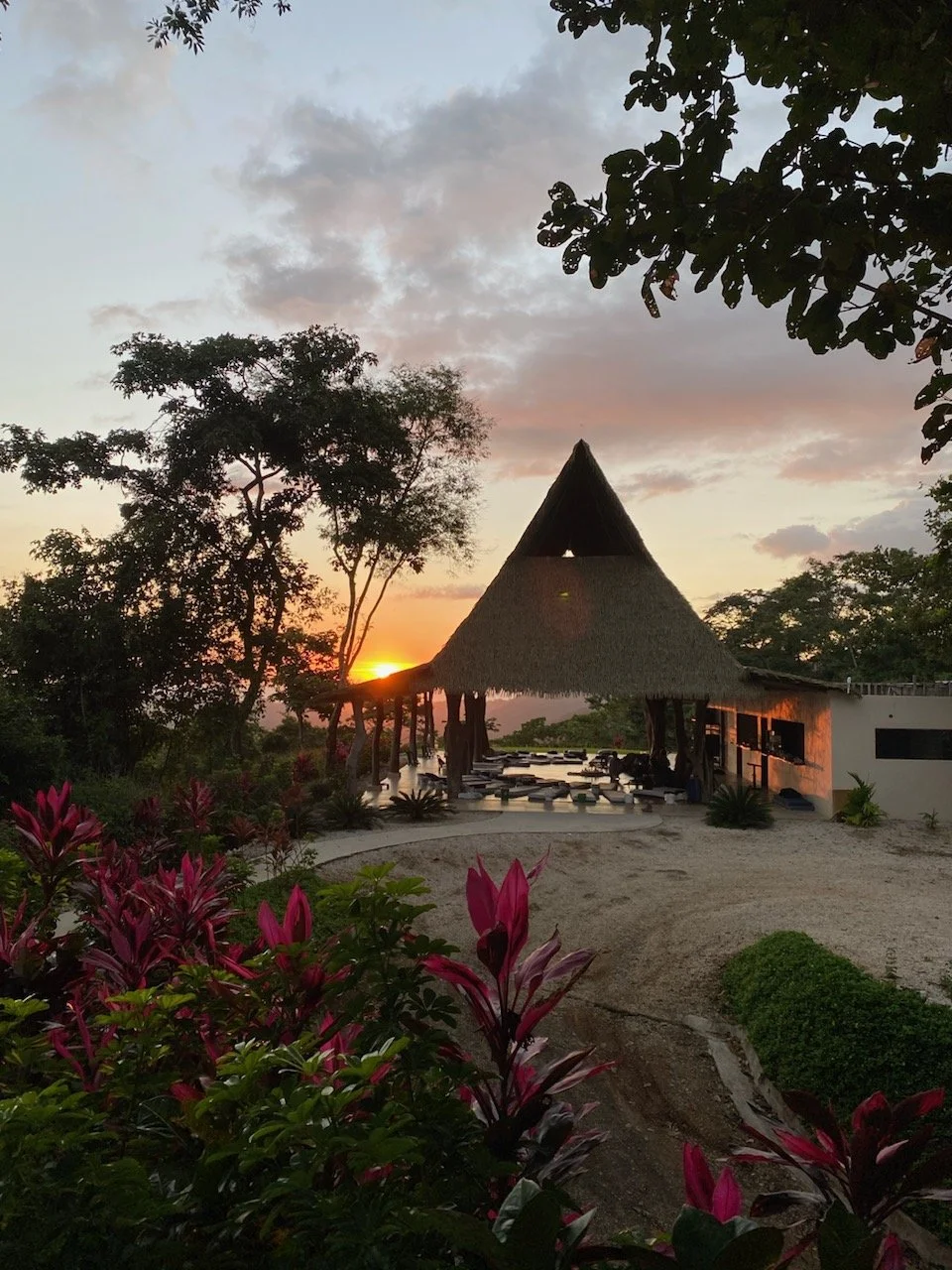 Sunset at a tropical resort with a thatched-roof hut, lush greenery, pink flowers, and trees.