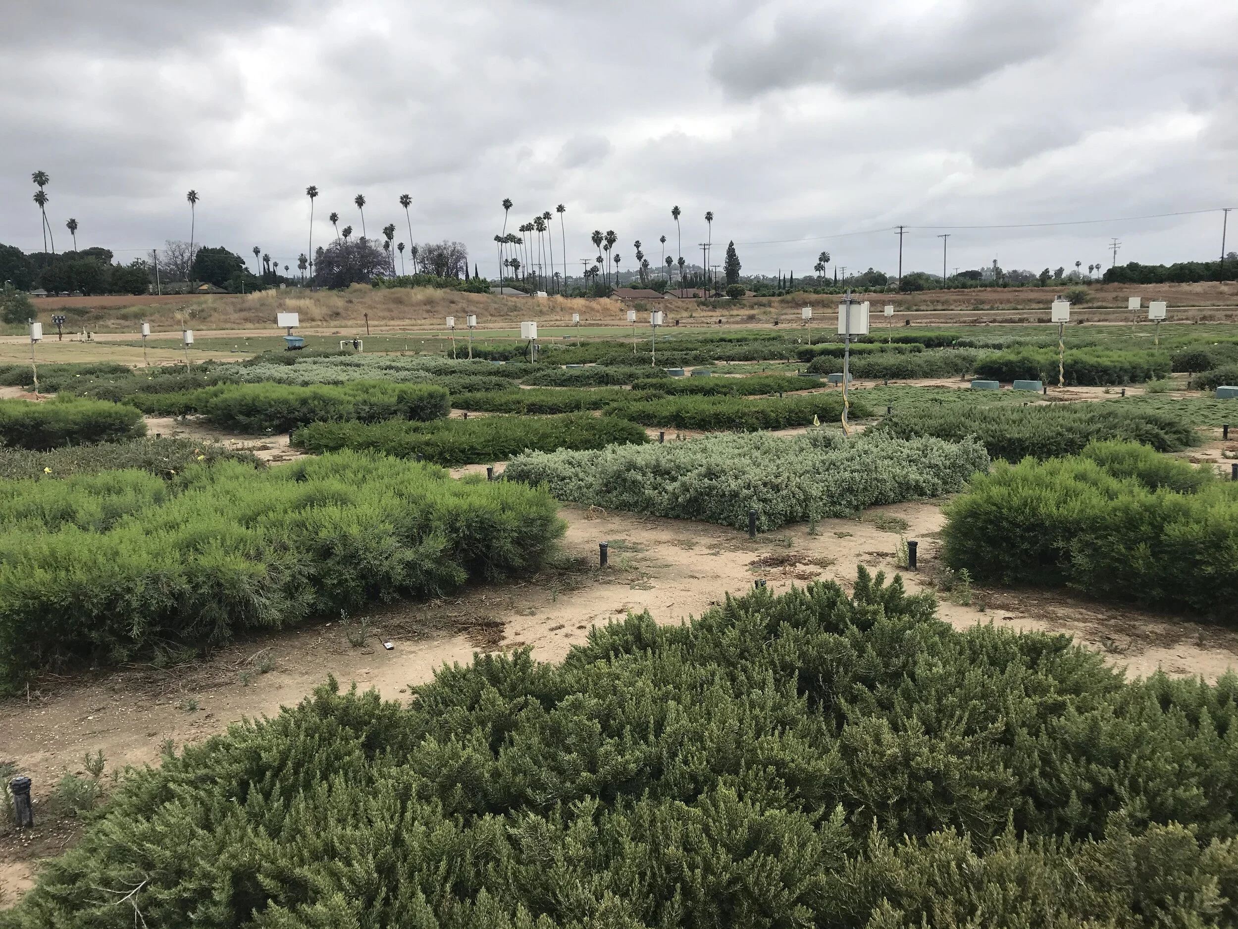 Episode 21: Watering Urban Green Spaces