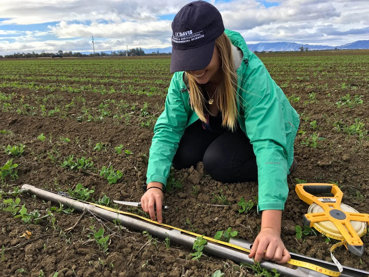 Episode 31: Cover Crop Hydro-economics