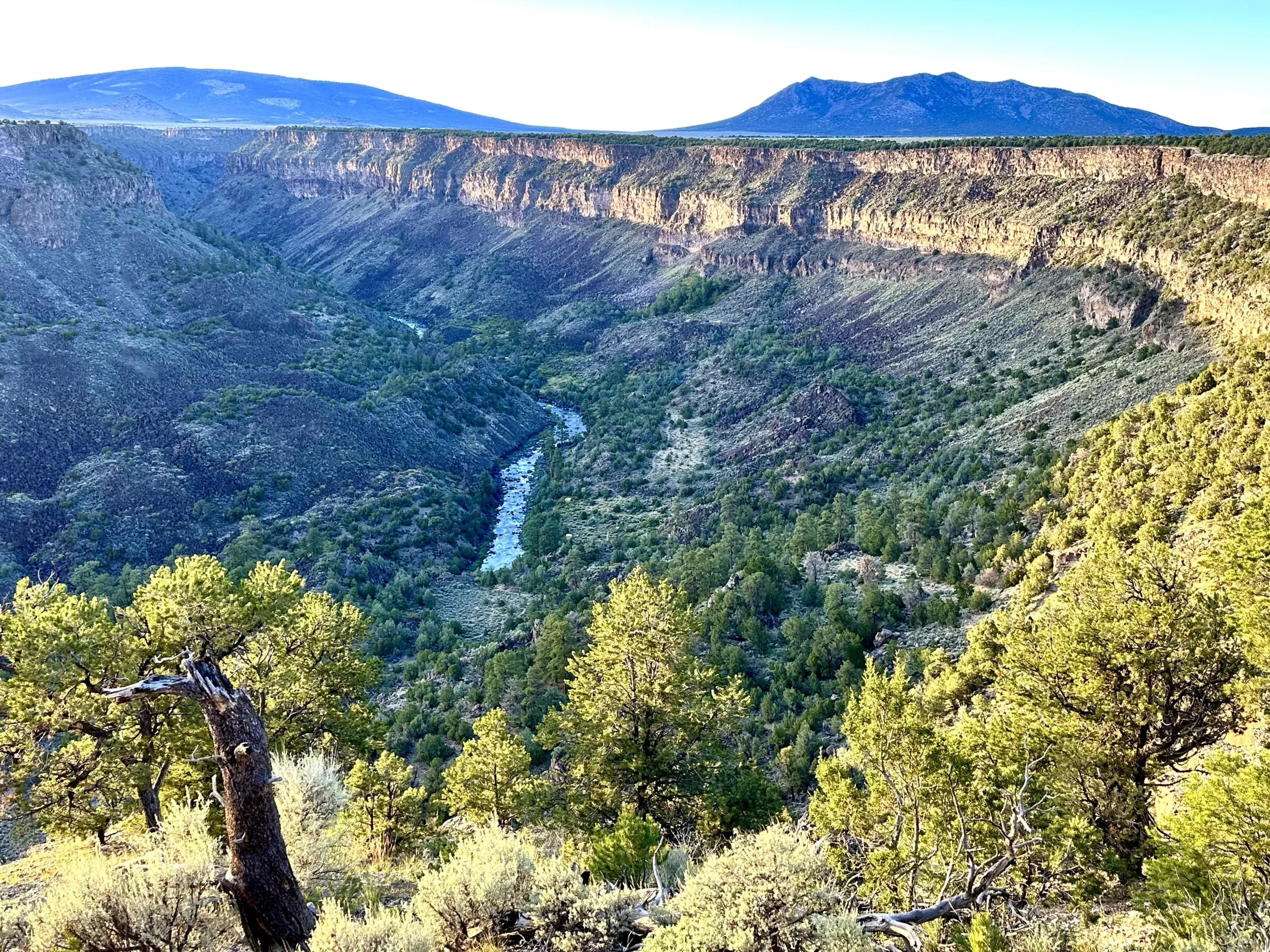 Ep 76: Water budgeting and bankruptcy