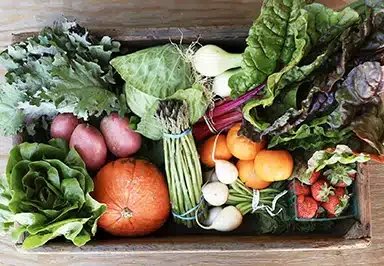 Small Farms and Groundwater Policy in CA
