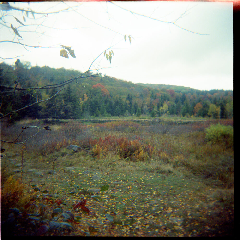 17-Revel Trip-Holga-Lom800-017.jpg