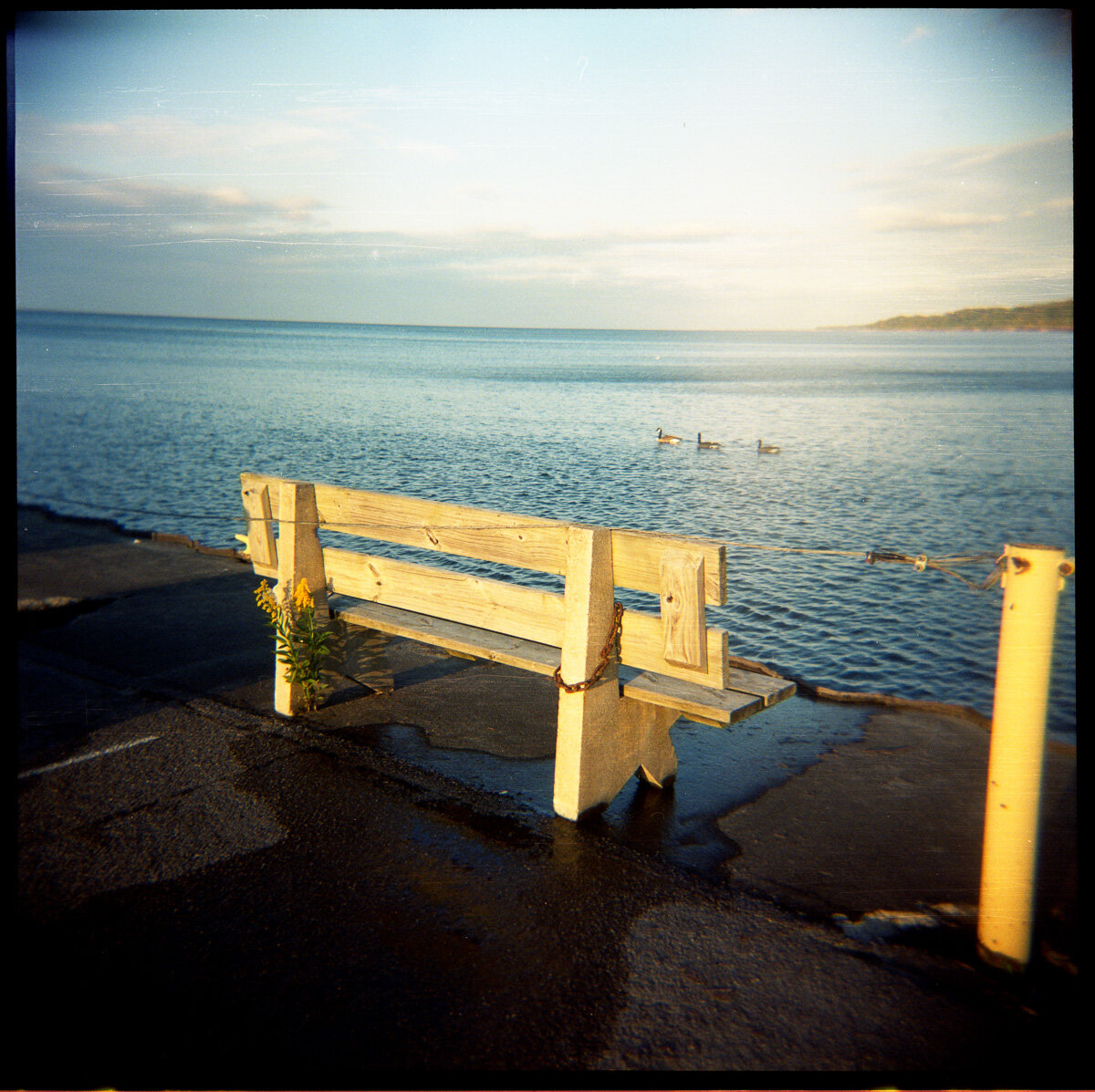 29-Revel Trip-Holga-Lom800-029.jpg