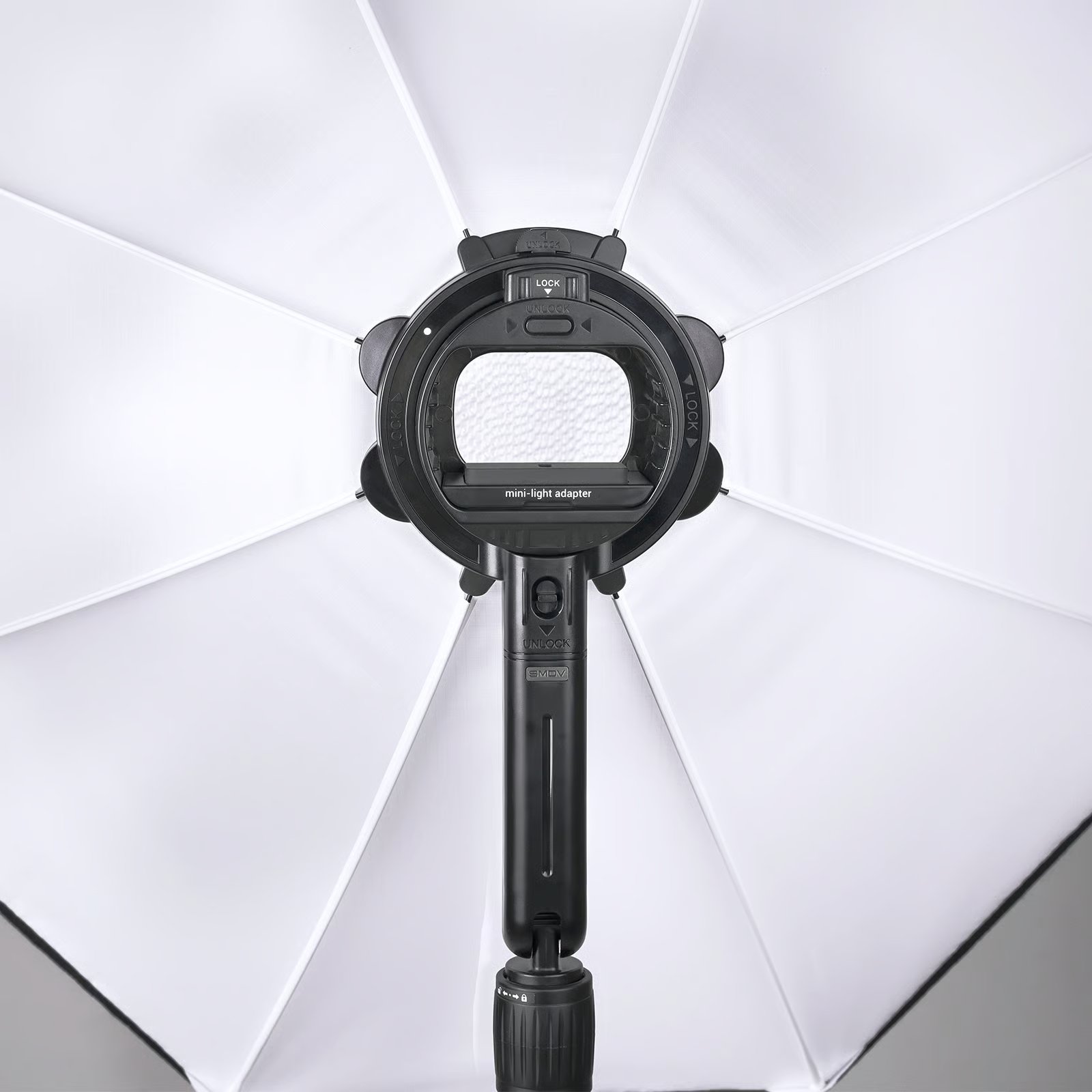 Bounce28P-003.jpg