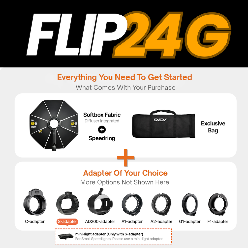 Flip24GY02.png