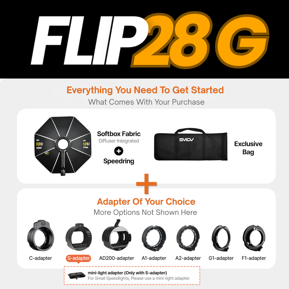 Flip28GY02.png