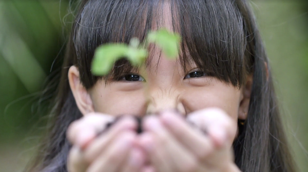 Climate prize awards ceremony features star power