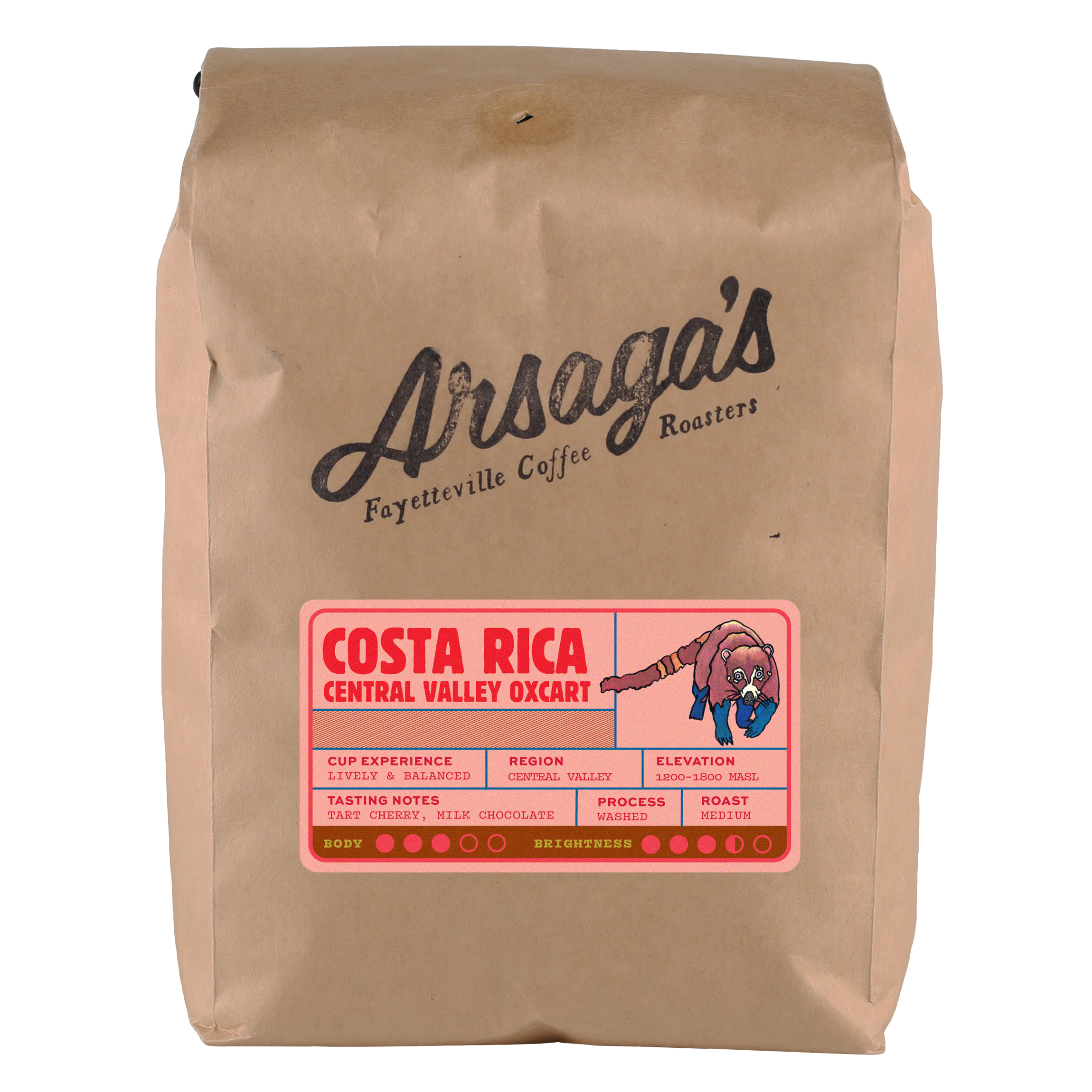 costa rica oxcart 2 web template 2lb.png