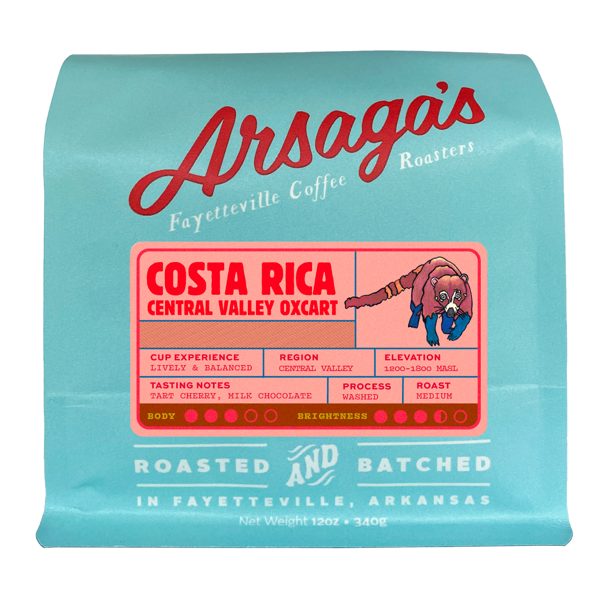 Costa Rica Central Valley Oxcart