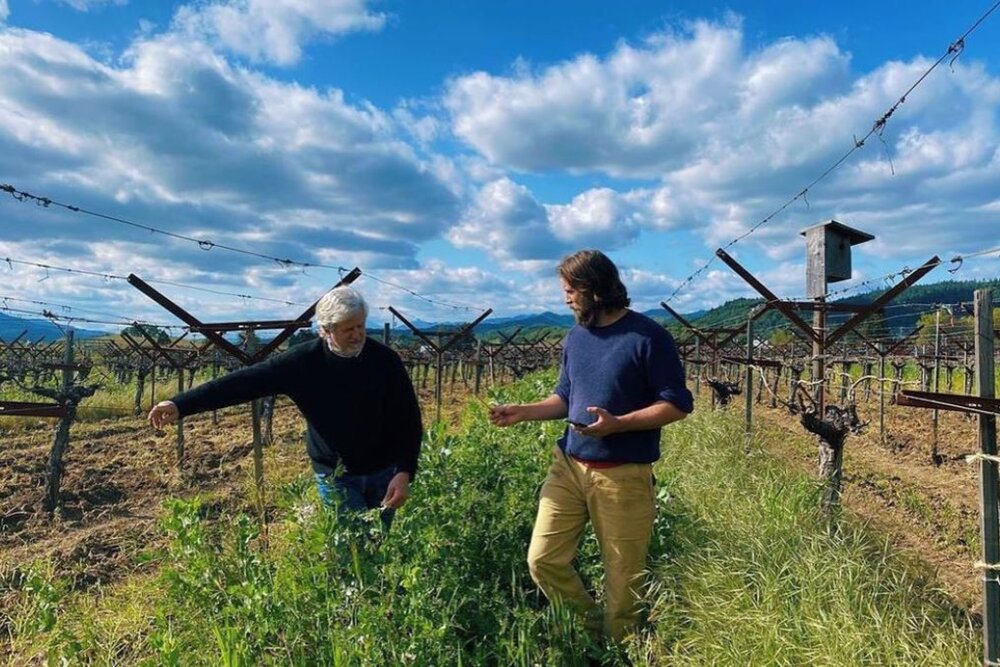 John and Rory Williams at Rossi vineyard
