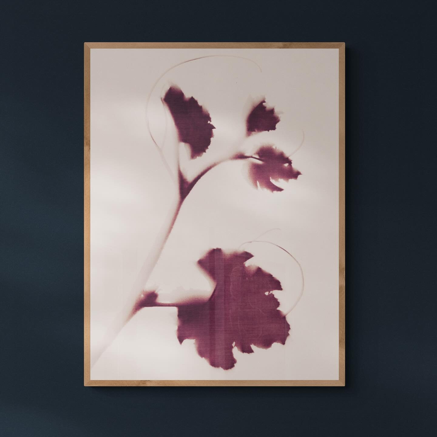 In my last batch of cyanotypes, I decided to work on fabric. I had an idea in my head to shoot them while they were floating in the water. I&rsquo;ll show you those next week. But this one is a bit more straight forward. I used clippings from my pump