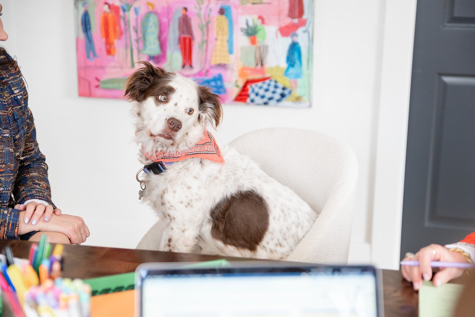 A dog with curly white fur and brown patches sitting in a modern white chair, wearing an orange bandana around its neck, in an office setting with colorful art on the wall behind it, and people with outstretched hands and pens around a wooden table.