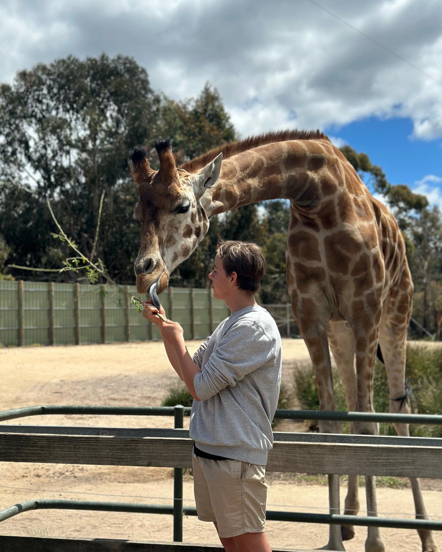 Jeremy, Layla and Millyca were lucky enough to get up close and personal with the beautiful giraffes who stole their hearts. 🦒 
Did you know: A giraffe heart weighs approximately 11 kilograms with an average resting heart rate of 40-90 beats per min