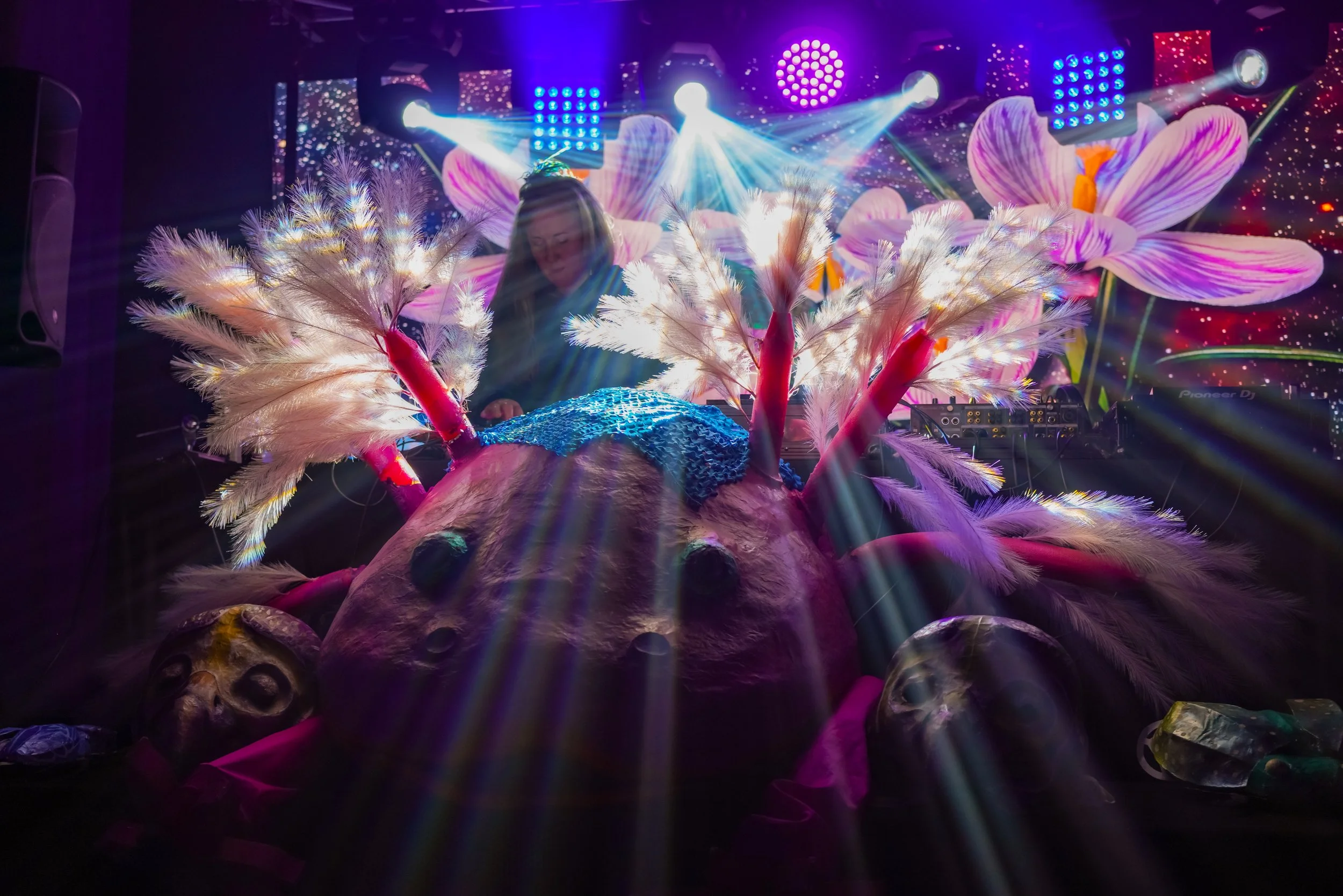 Where Shadows Dance-12.jpg