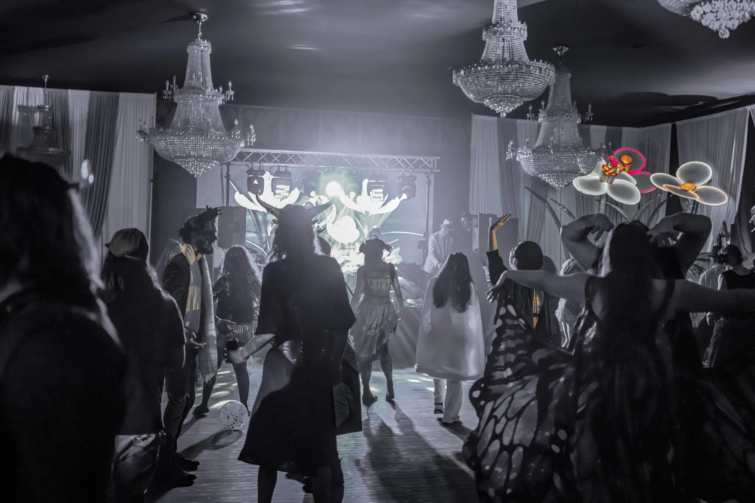 Where Shadows Dance-36.jpg