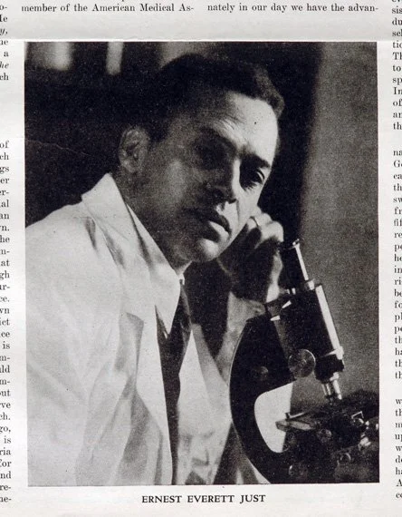 Photograph of Ernest Just with microscope Negro History Bulletin, Vol. 2, no. 8 Washington: Association for the Study of Negro Life and History, 1939 General Collections
