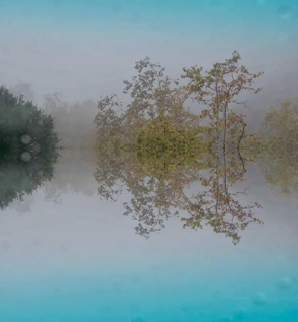 Avner Janna Ecology video.jpg